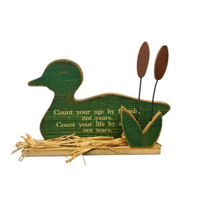 Vintage Green Duck Wood Home Decor Rustic Indoor Cottage Office Door Hanger
